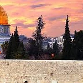 Ciprestes e construções da Cidade Antiga de Jerusalém
